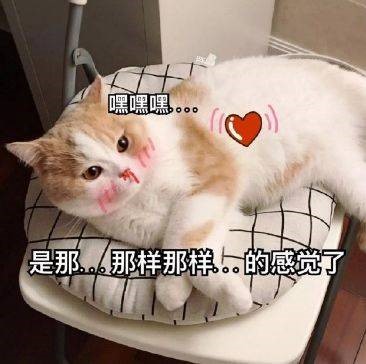 YUU宫花之尻倒模名器评测 – 全新的倒模全新的体验插图7