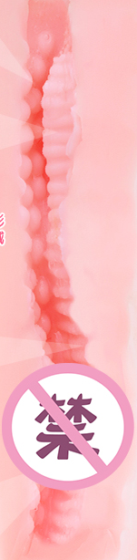 Onaho女神爱丽丝 – 号称堪比Tomax女神的国产飞机杯评测插图4