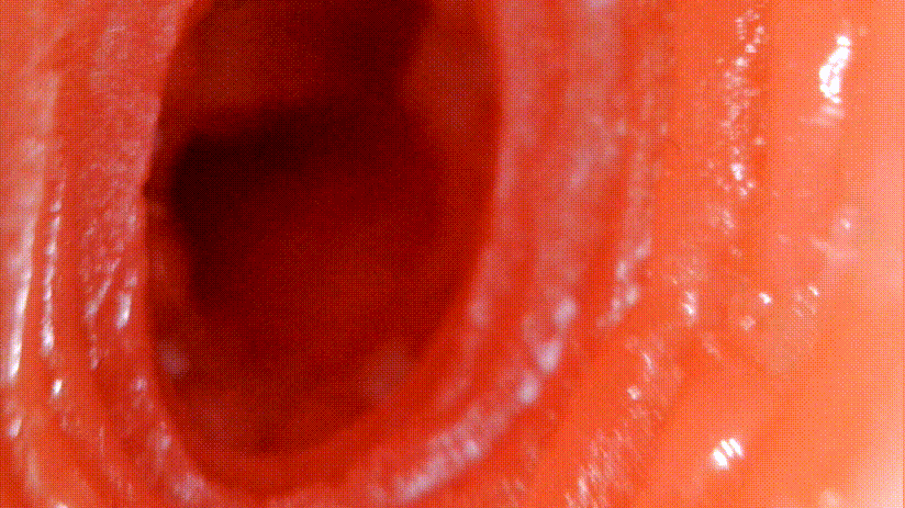 TMT“彼女姐姐”飞机杯评测 – 我拿下女神的秘诀就是它！插图11