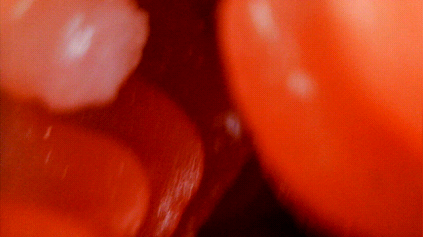 TMT“彼女姐姐”飞机杯评测 – 我拿下女神的秘诀就是它！插图13