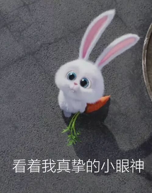 EXE奶瓶1代飞机杯刺激版评测插图4