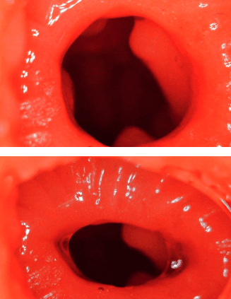 YUU 小优物语飞机杯 – 来自一个素人老哥的投稿，非常详细，可当新手教程！插图24