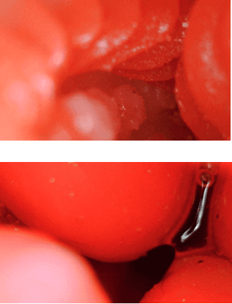 YUU 小优物语飞机杯 – 来自一个素人老哥的投稿，非常详细，可当新手教程！插图25