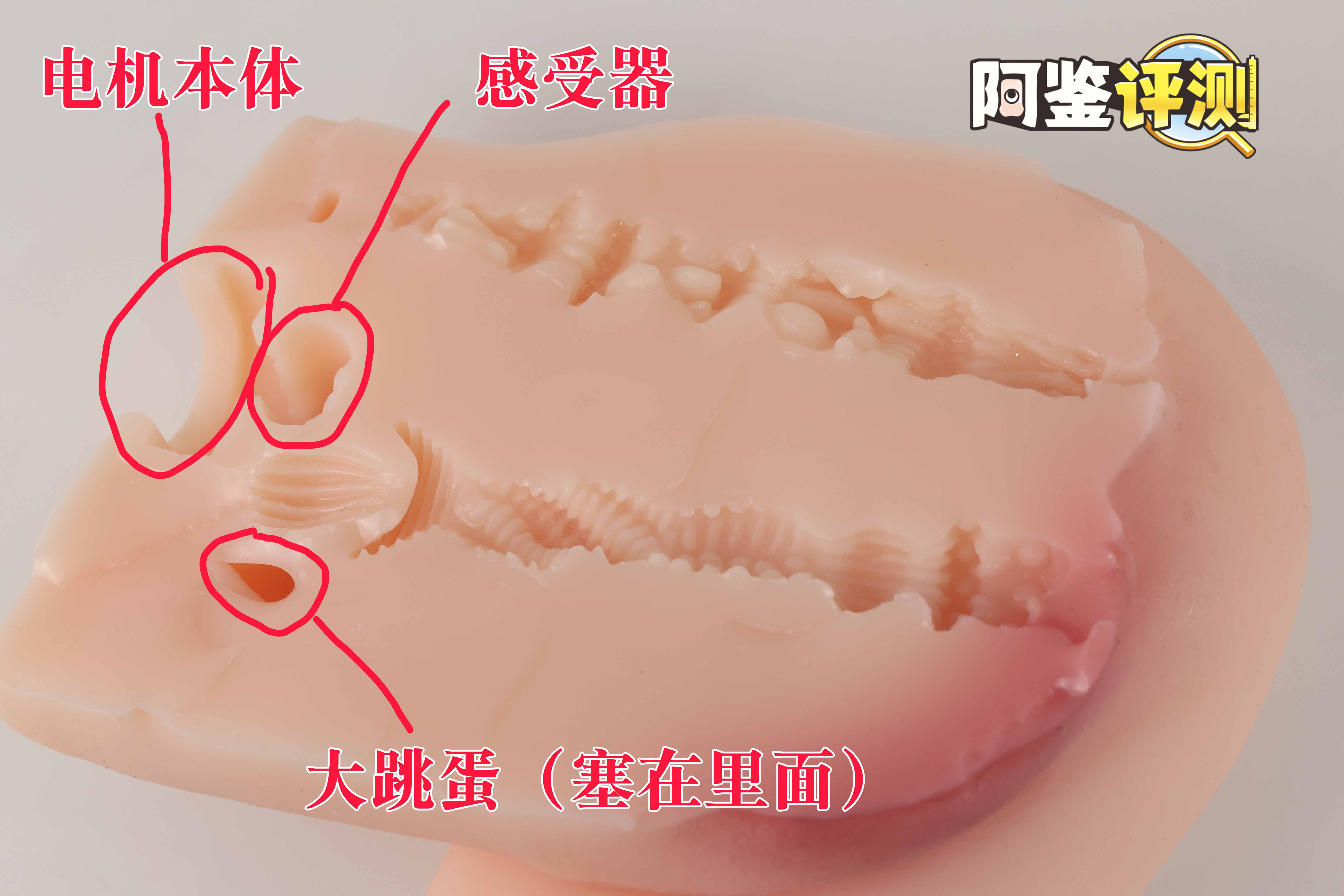 趣网COC——“杯魔女”评测!屁股就是用来拍的!爆笑流“抖动”臀模!插图18 趣网COC——“杯魔女”评测!屁股就是用来拍的!爆笑流“抖动”臀模!插图18