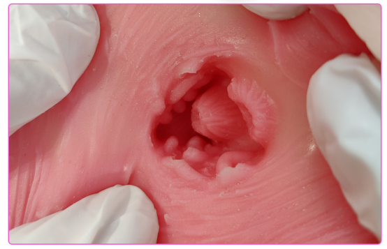 榜一大哥进入了直播间！DID主播在线评测——（4星推荐）[db:副标题]插图10