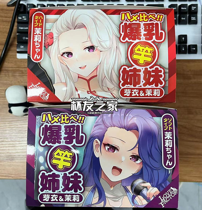 风俗店里的孪生竿姐妹——Lovefactor风俗娘评测（中高刺激）[db:副标题]插图2