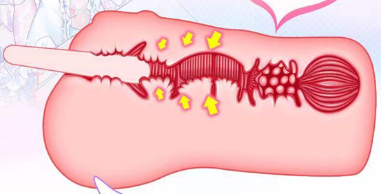 “御姐的挑逗”GXP白丝壁女评测（中等刺激）评测/三星推荐[db:副标题]插图6