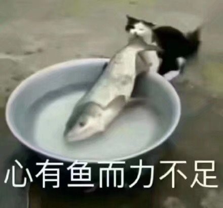 “魅惑新妻”rqs魅惑生腰（中低刺激）测评/4星推荐[db:副标题]插图9