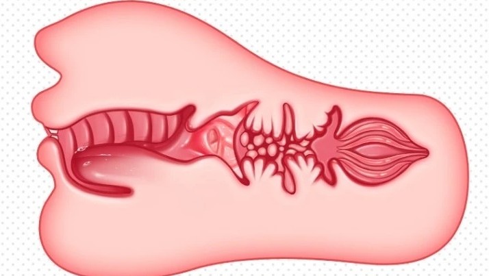 “爱咬东西的康纳”gxp邻家妹仆评测/四星推荐[db:副标题]插图7