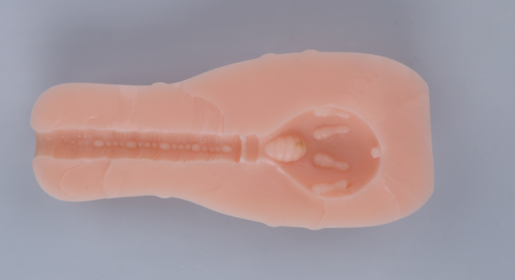 “什么？这竟然是飞机杯？”对子哈特 保龄球 蓝盒评测（低刺激）/四星推荐[db:副标题]插图6