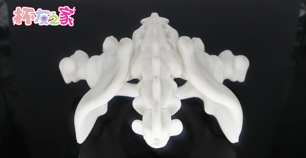 “骨感”肥臀的超真实对撞！——LoveFactor风铃御使（大屁股，中刺激）五星推荐！[db:副标题]插图28