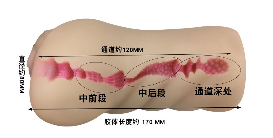 日本A-ONE 生素体本格飞机杯名器测评[db:副标题]插图4