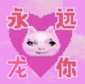 YUU热热子飞机杯名器评测 – 温暖的包裹插图2