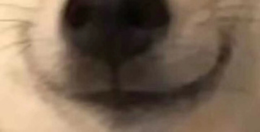 YUU启蒙先辈飞机杯测评 – 明明只是一转眼就过去了，可我却觉得过了一辈子插图5