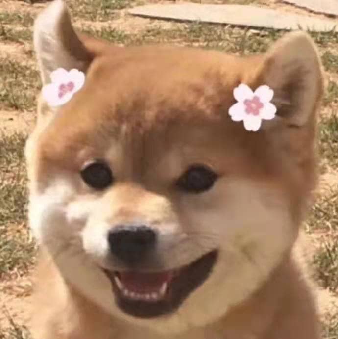 萌慢玩飞机杯名器测评-萌新挚友，超高的性价比，非常适合新入坑的杯友。插图6