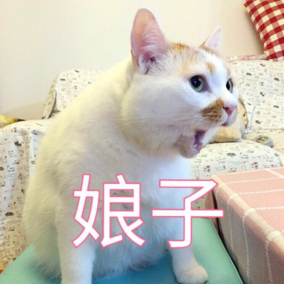 YUU极上双穴飞机杯名器评测 – “这样的女朋友，你喜欢吗”插图6