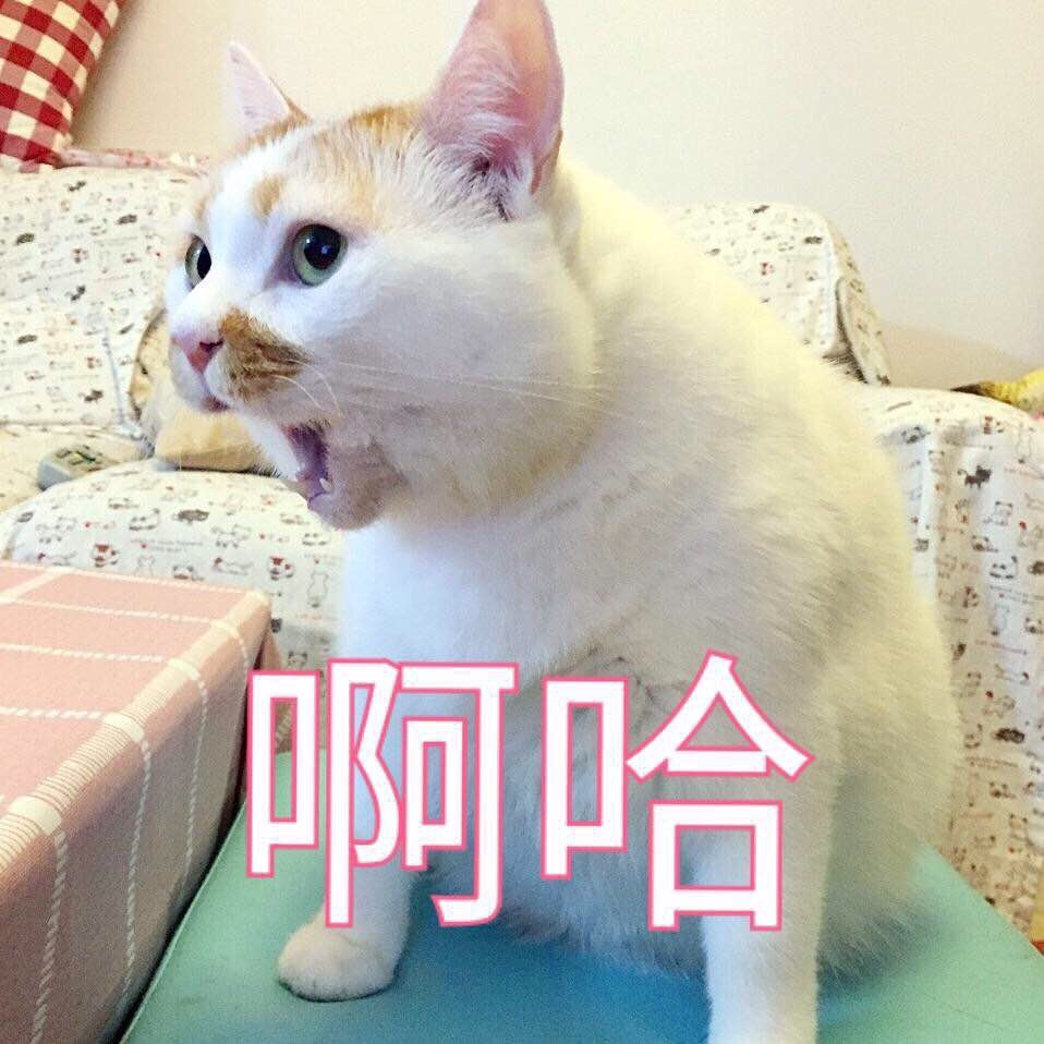 YUU极上双穴飞机杯名器评测 – “这样的女朋友，你喜欢吗”插图7