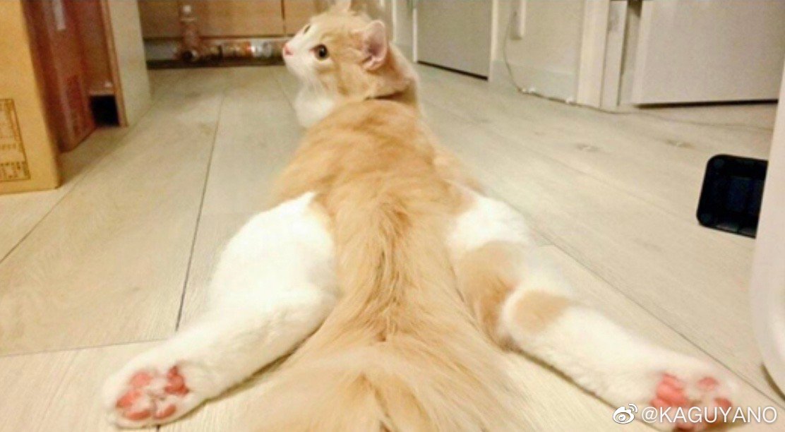 国产kaguyano千岛酱飞机杯名器评测 – 还有COS福利插图9