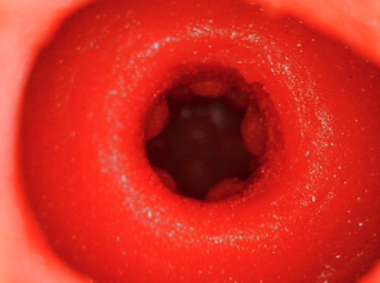 YUU 小优物语飞机杯 – 来自一个素人老哥的投稿，非常详细，可当新手教程！插图26