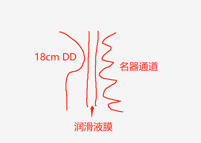 你真的会用润滑液吗？ | 3元到100元，5款润滑油测评大揭秘插图2