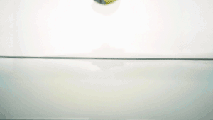 “逗豆鸟”我们大胆的寻找身体的快乐插图20