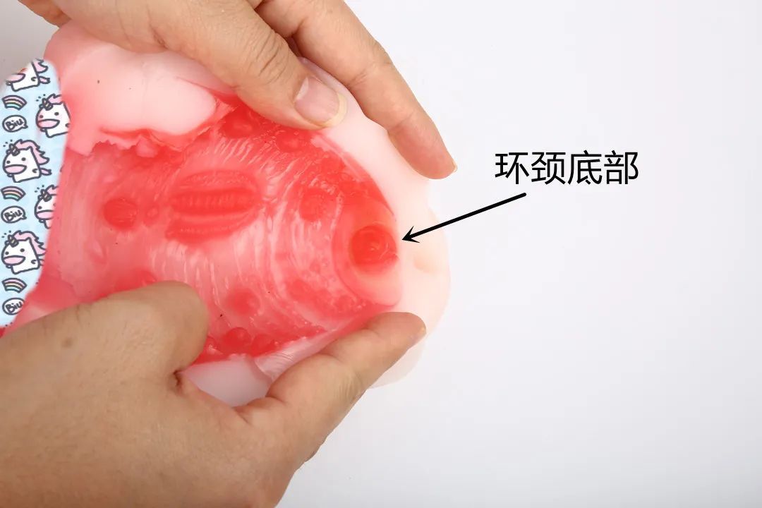 NPG-熟女星-市川京子飞机杯插图6