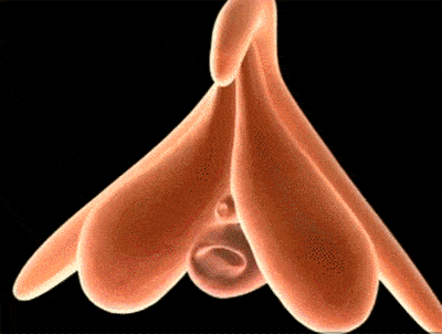 玩具测评：诱魅芒果派脉冲吮吸跳蛋插图10