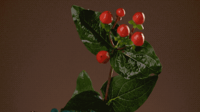 她说：我想知道女人真高潮时是什么感觉插图3