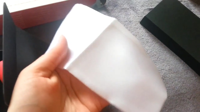 瑞典LELO SIRI 2 情趣按摩器 【开箱】插图4