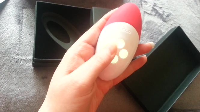 瑞典LELO SIRI 2 情趣按摩器 【开箱】插图8