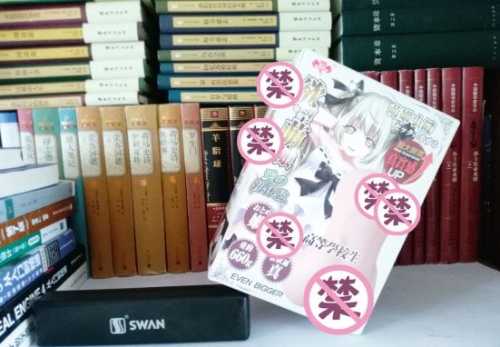 极具性价比的大玩具——撸撸杯欲望萌娘开箱评测插图1