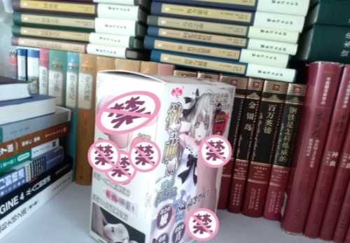 极具性价比的大玩具——撸撸杯欲望萌娘开箱评测插图2