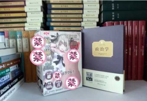 极具性价比的大玩具——撸撸杯欲望萌娘开箱评测插图3