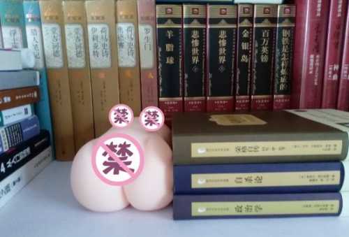 极具性价比的大玩具——撸撸杯欲望萌娘开箱评测插图7