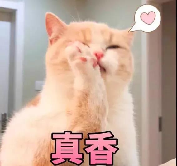 仙女测评┃派蒂菈跳动激情插图1