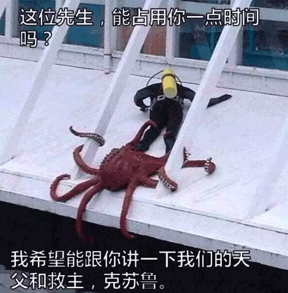 YUU柔臀似水屁股测评 – 软萌plus+插图10