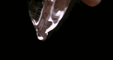 S-HANDE丨SM入门级玩法「滴蜡」插图2