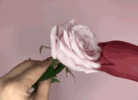 米斯朵拉“小舌精”震动棒测评插图3