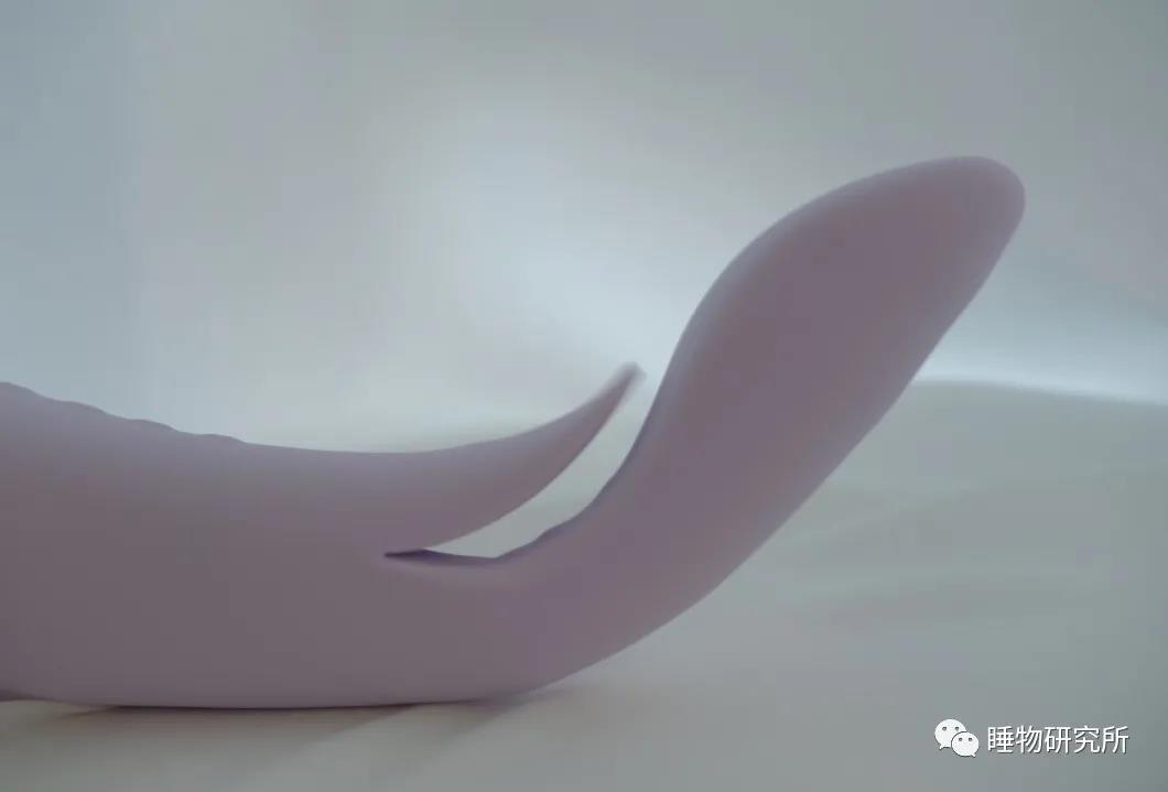 玩具测评Vol.40：TITILLO萌芽插图5