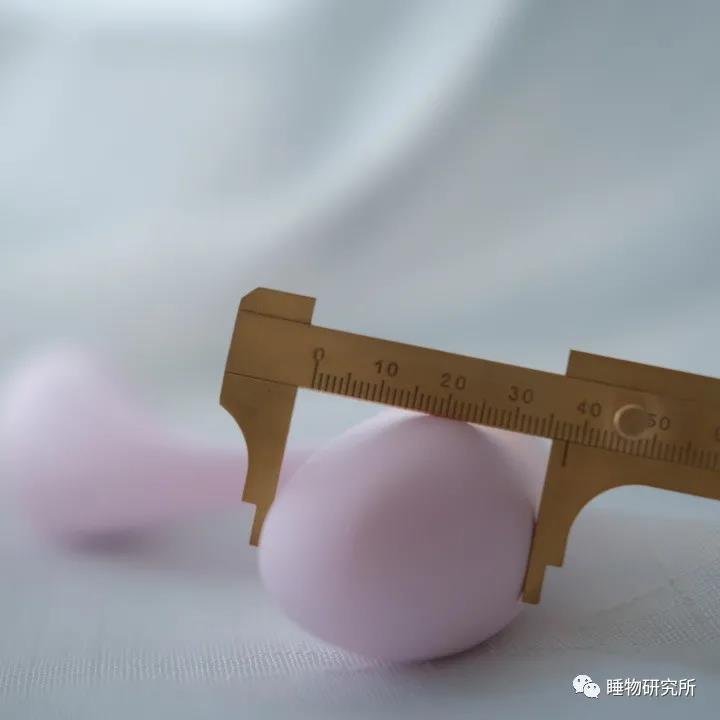 玩具测评Vol.38：TITILLO勺子震动棒 原创 大乐儿插图3