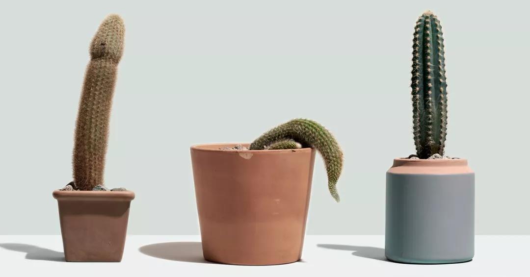 什么形状的丁丁最受姐妹们青睐？  TITILLO 勺子震动棒插图3