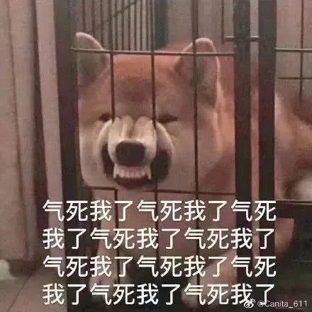 惊了！一个勺子竟然能让人嗨爽连连……TITILLO插图2