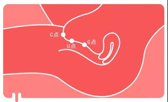 【玩测评】逃不掉的！这个S型的“人间扳手”，彻底搞定了我插图9