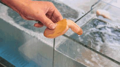 日本枫花恋名器倒模飞机杯测评插图21