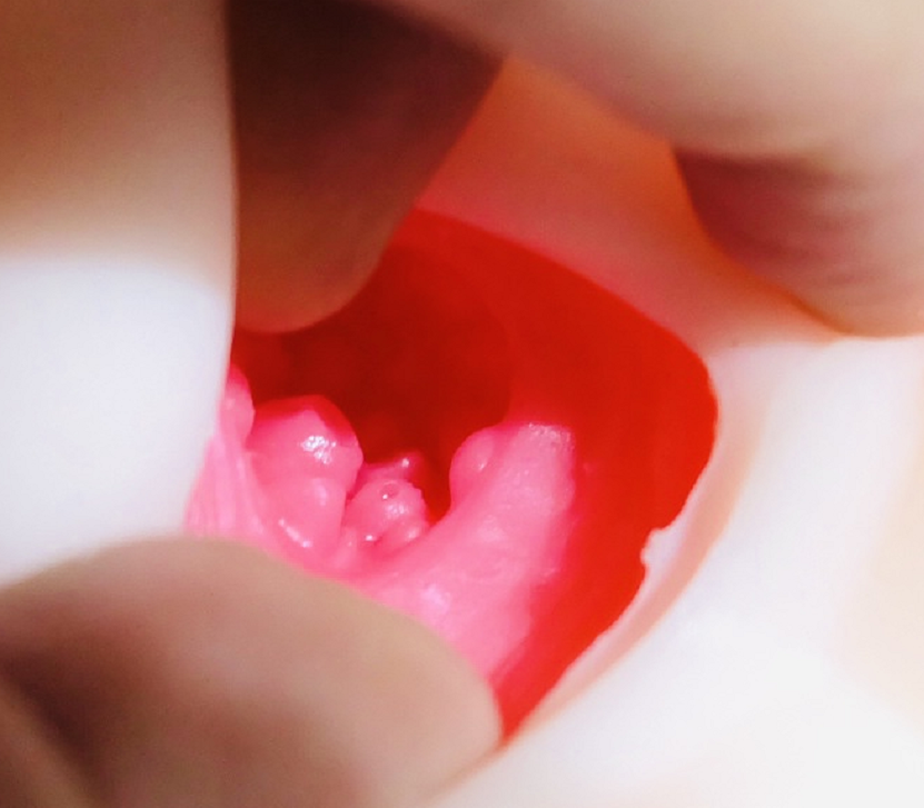 御宅＆Lovefactor出浴立花名器测评插图14