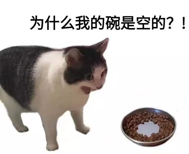 极上双穴飞机杯 – 丰满半身勾造,940克双通道评测插图5 极上双穴飞机杯 – 丰满半身勾造,940克双通道评测插图5