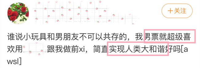 安利全世界女生的情趣玩具，深夜会尖叫插图3