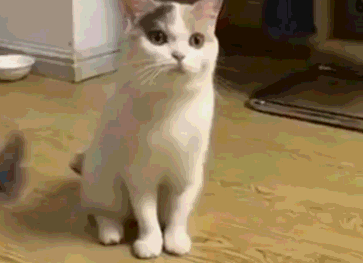 这款BDSM调教箱比王牌特工的还叼插图13