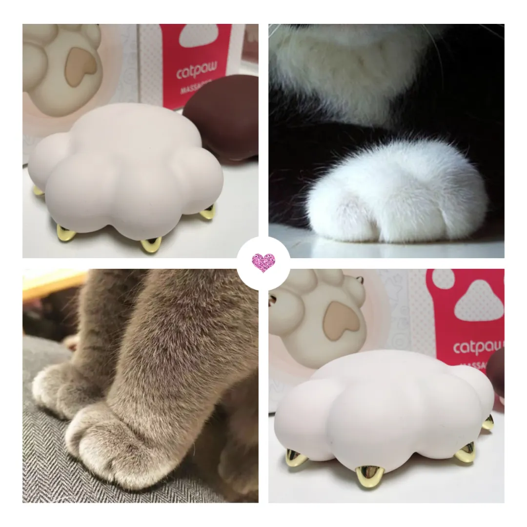 铲屎官别走！看你怎么被我一“掌”制服！插图4