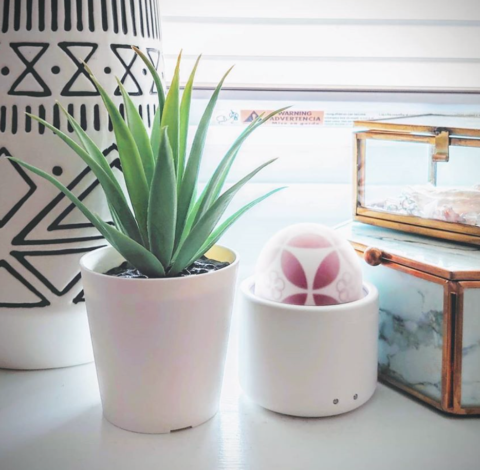 情趣玩具测评— iroha temari 花手球插图2